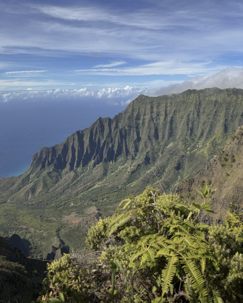 napali
